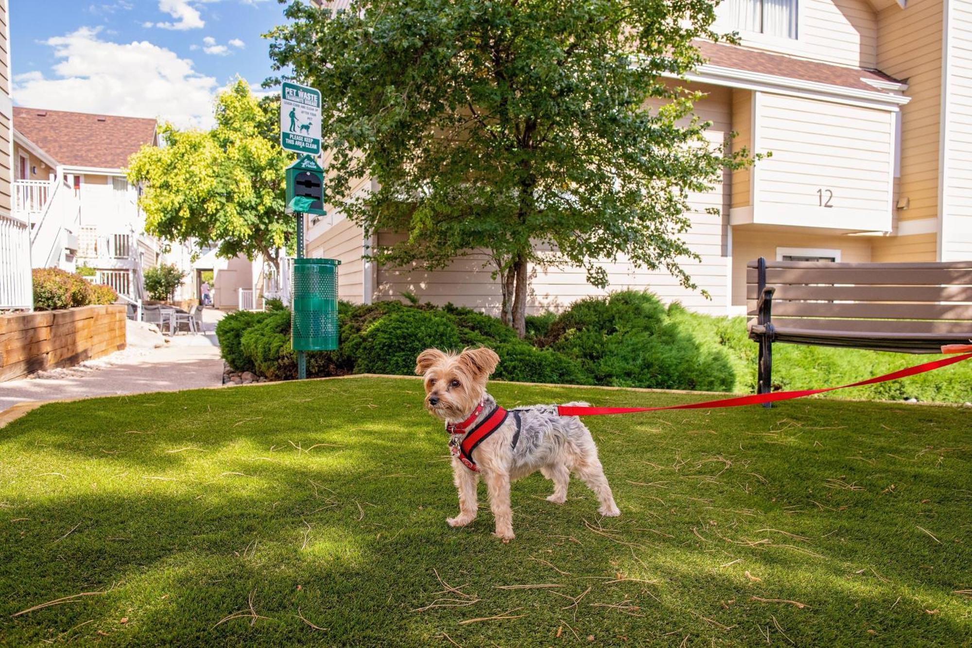 Residence Inn Denver Downtown Bagian luar foto